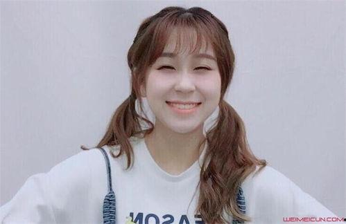 黑料百科,网络舆论场中的真相与偏见